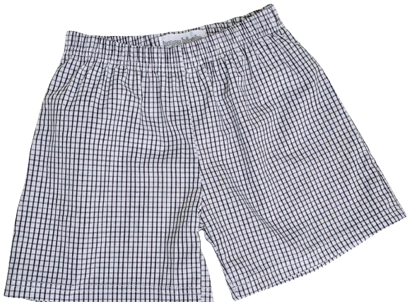 Windowpane Shorts